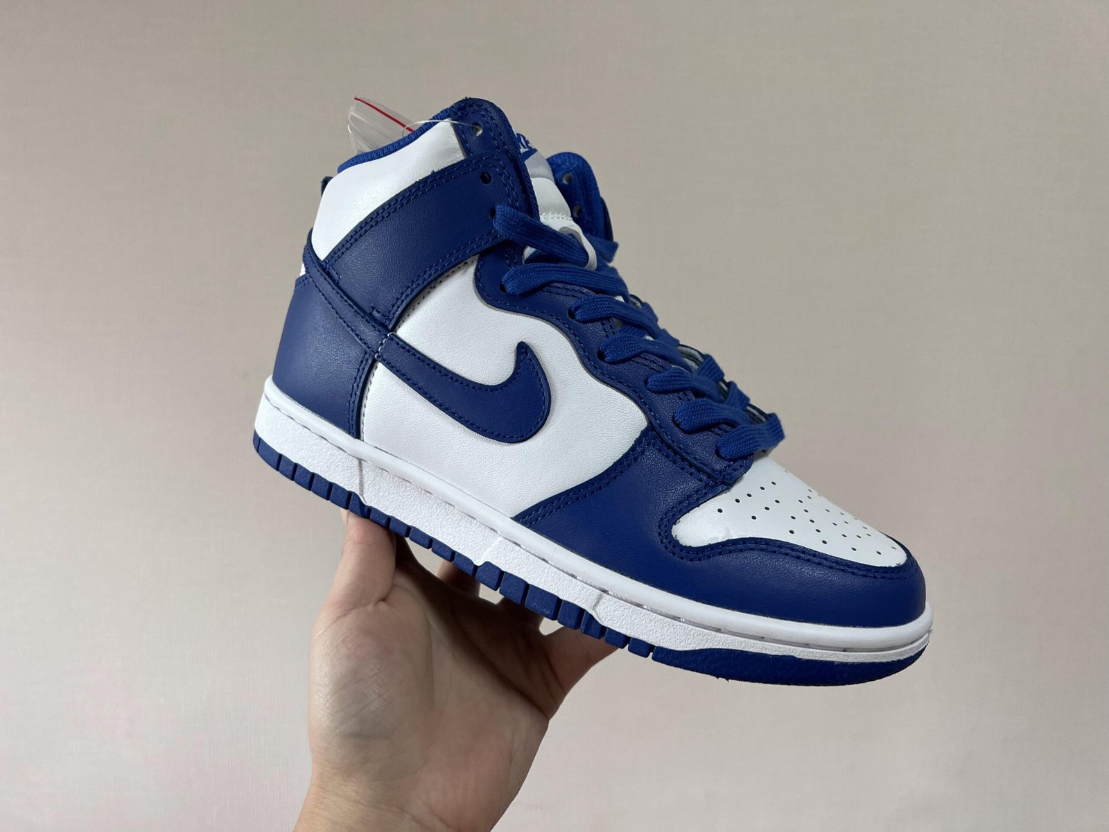 DUNK HIGH WIT EN BLAUW - Image 2